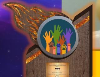 Публикуем Правила 